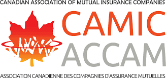 CAMIC / ACCAM - The Difference Is Mutuality