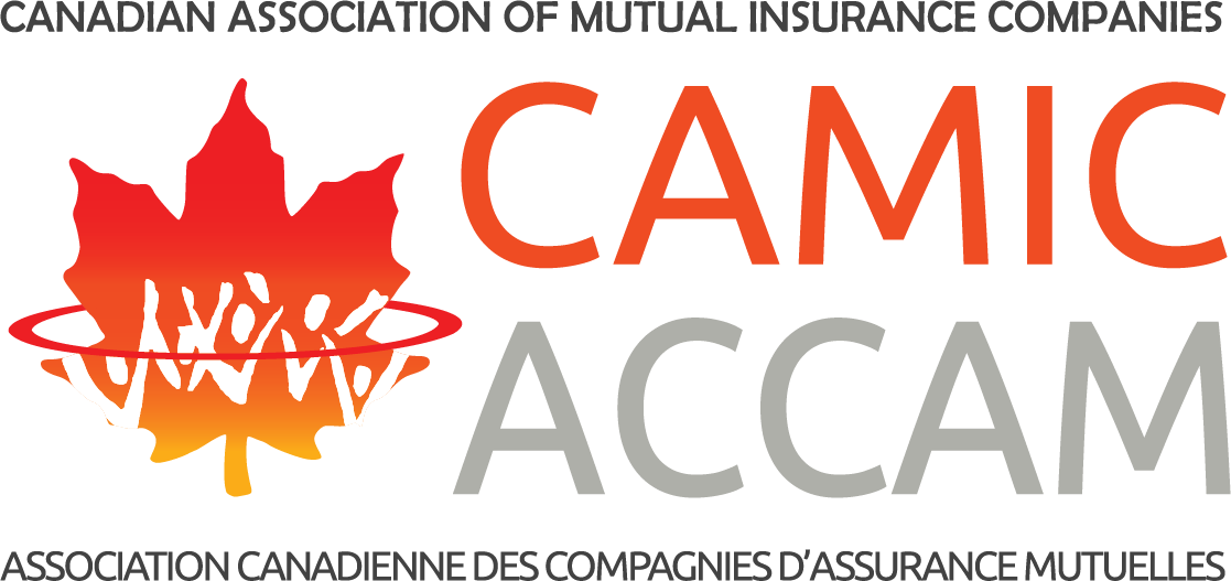 CAMIC/ACCAM Logo